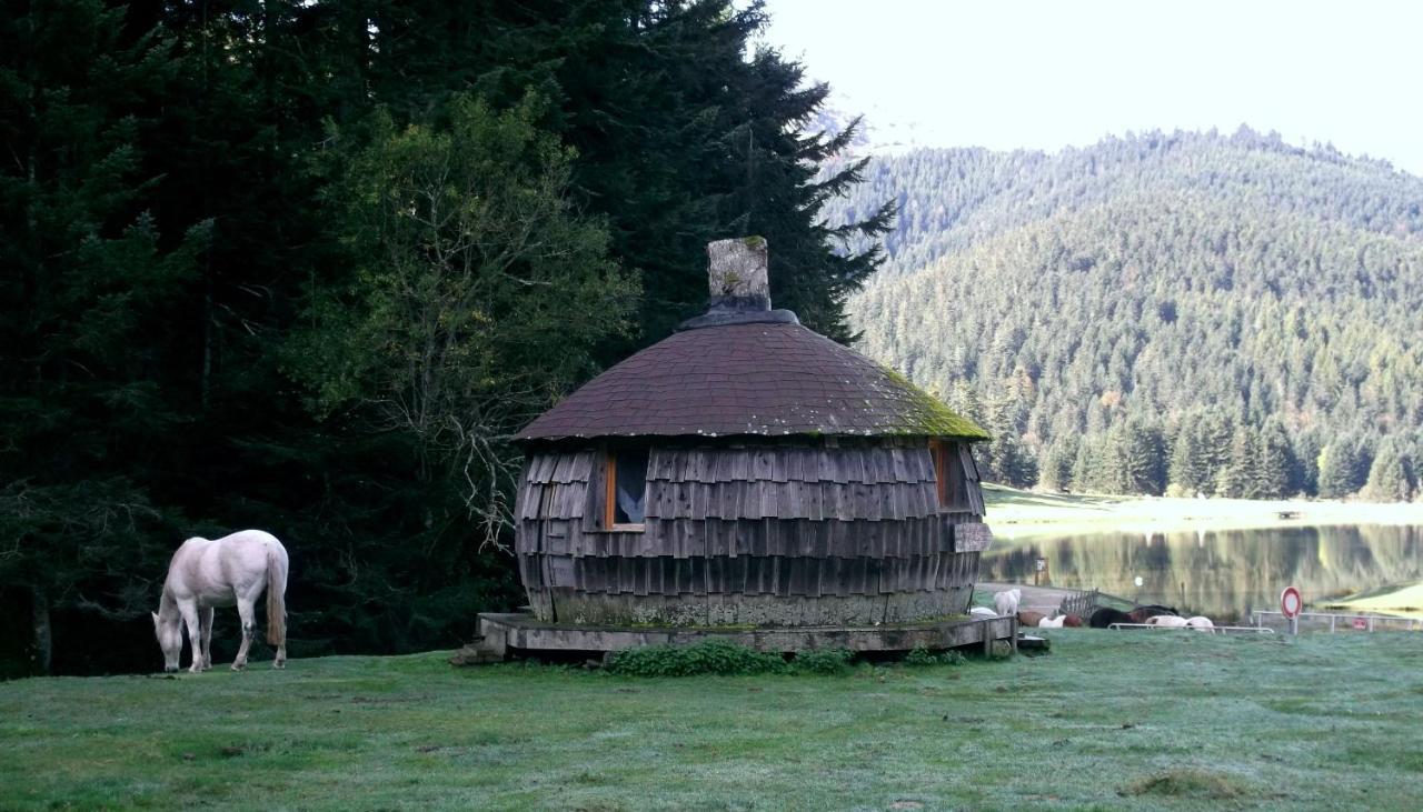 Gite Du Montagnol A Payolle سانت-ماري-دي-كامبان المظهر الخارجي الصورة